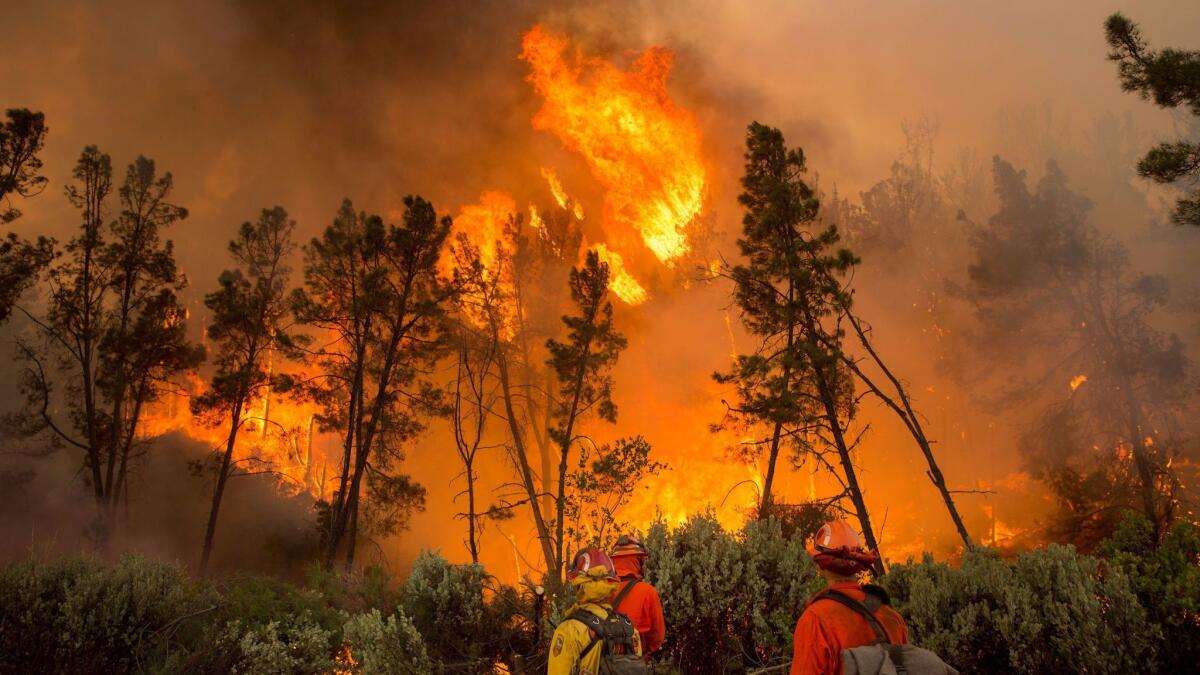 Firefighters ignite a backfire to stop the Loma fire from spreading near Morgan Hill, Calif., Wednesday, Sept. 28, 2016.