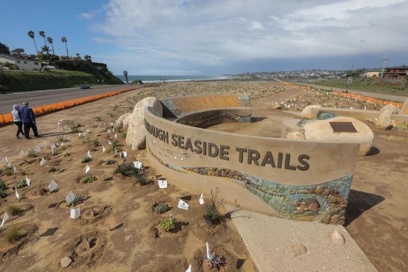 Solana Beach’s Harbaugh Seaside Trails, east of Coast Highway 101 at the southern edge of Encinitas, beckons walkers.