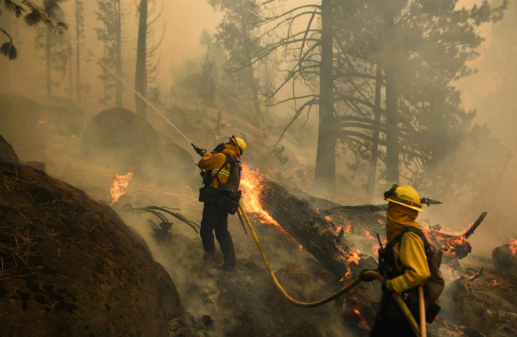 Firefighters try to control a prescribed burn.