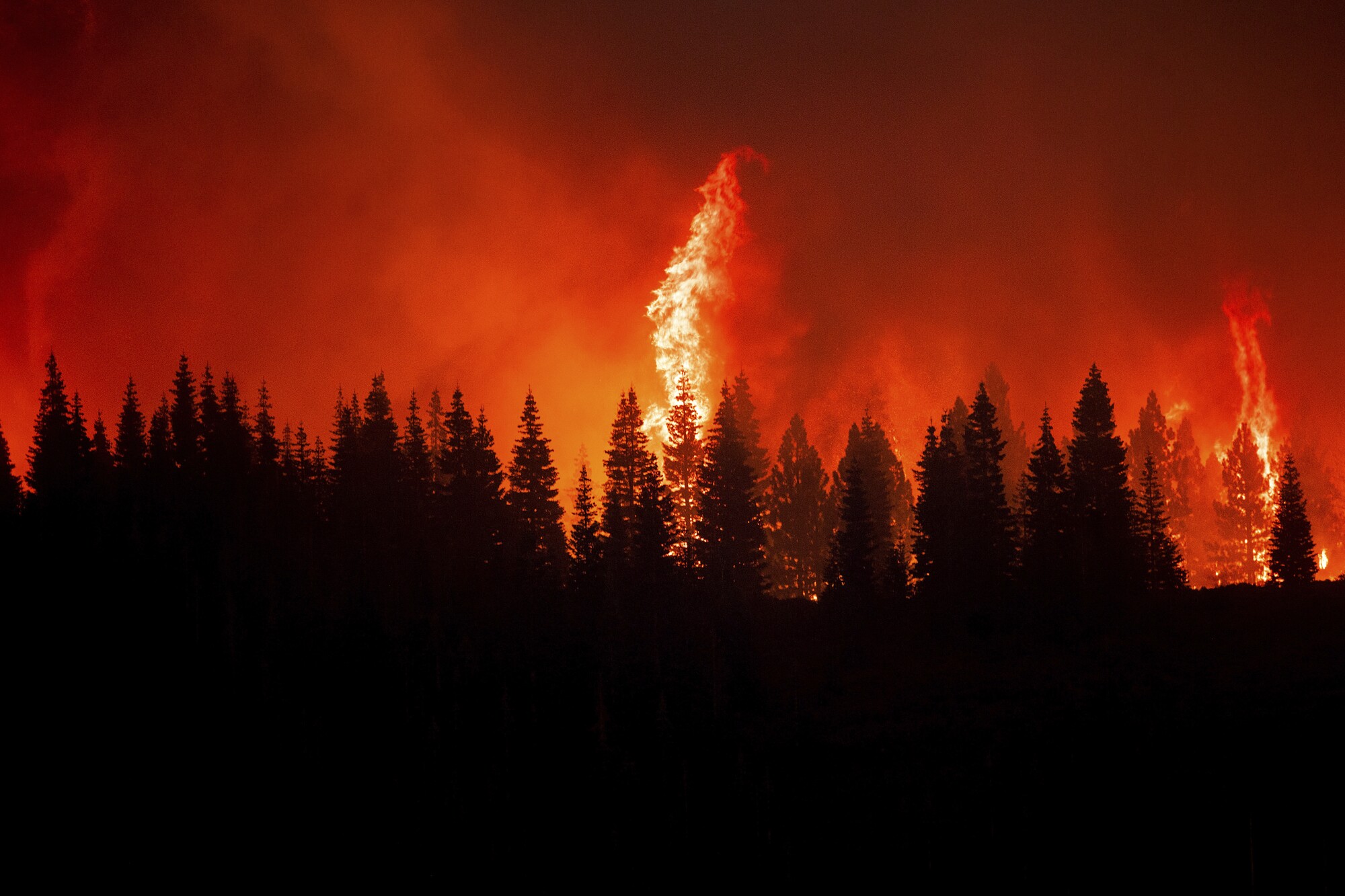 Flames from the Dixie fire crest a hill in Lassen National Forest