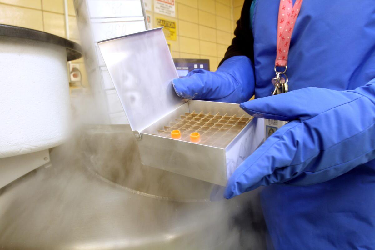 Providence St. Joseph Medical Center clinical research associate Vanessa Vasco shows how bio-specimen samples will be stored in a new liquid nitrogen bio repository freezer at the hospital in Burbank on Friday, May 6, 2016.