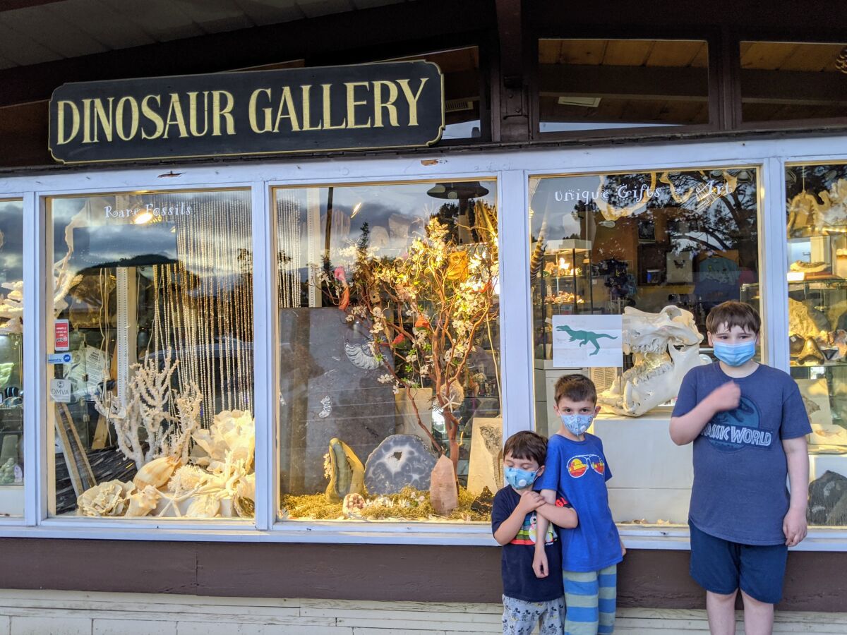 Liam Wrona, right, visits his favorite store Dinosaur Gallery with his brothers.