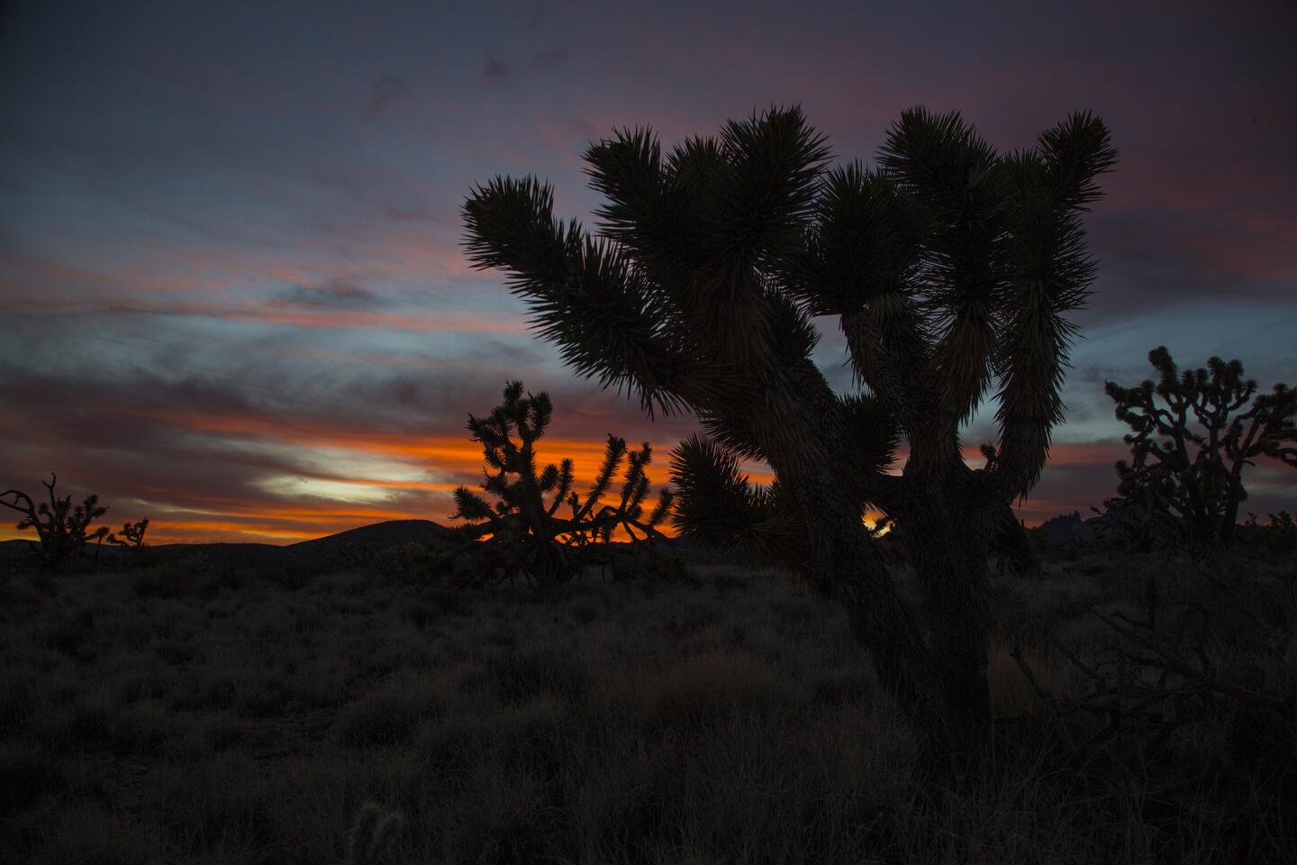 New national monument land