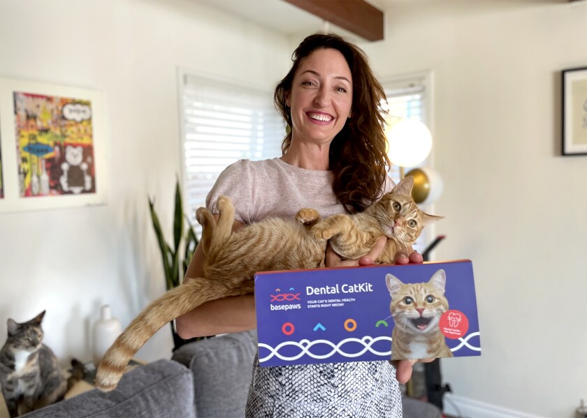 A woman holds a cat and a box that says "Dental CatKit." Behind her on a table is another cat.