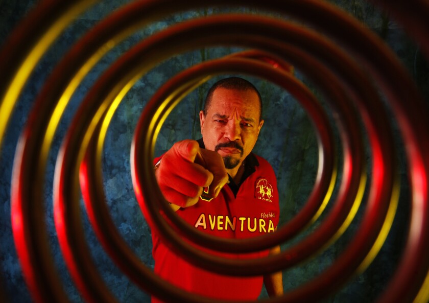 Ice-T has announced his wide-ranging Art of Rap festival, with a date in Irvine.