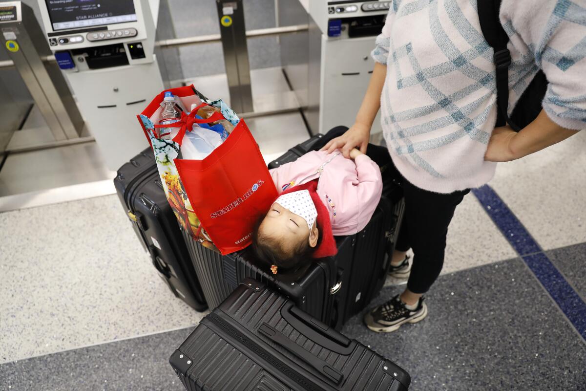 A young traveler takes a rest on top of the family's luggage