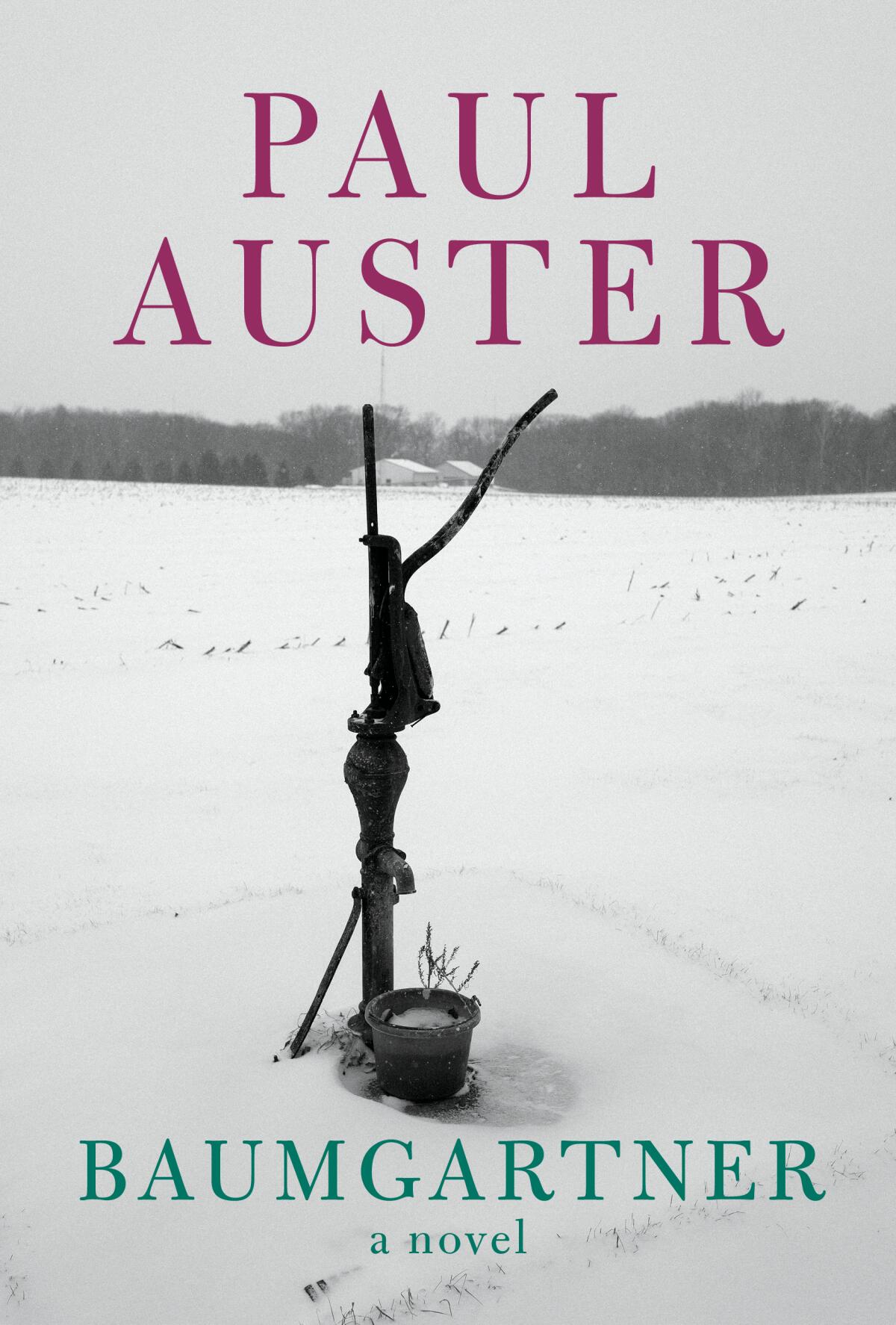 "Baumgartner," by Paul Auster