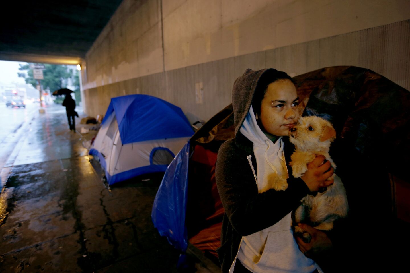 Monic Bell holds her dog Hades outside her tent in Hollywood. Monic is homeless and says he was in the foster system. Youths made up the fastest growing homeless age group with those 18 to 24 up 64%, followed by those under 18 at 41%.