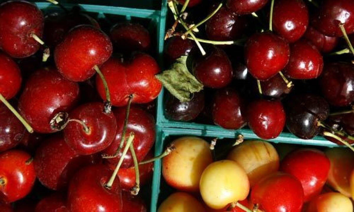 SWEET TARTS: Tartarian cherries, left, Brooks cherries, top right, and Rainier cherries, bottom right.