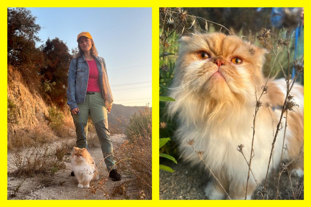 A photo of a person with a leashed cat on a trail next to a close-up photo of an orange-and-white cat
