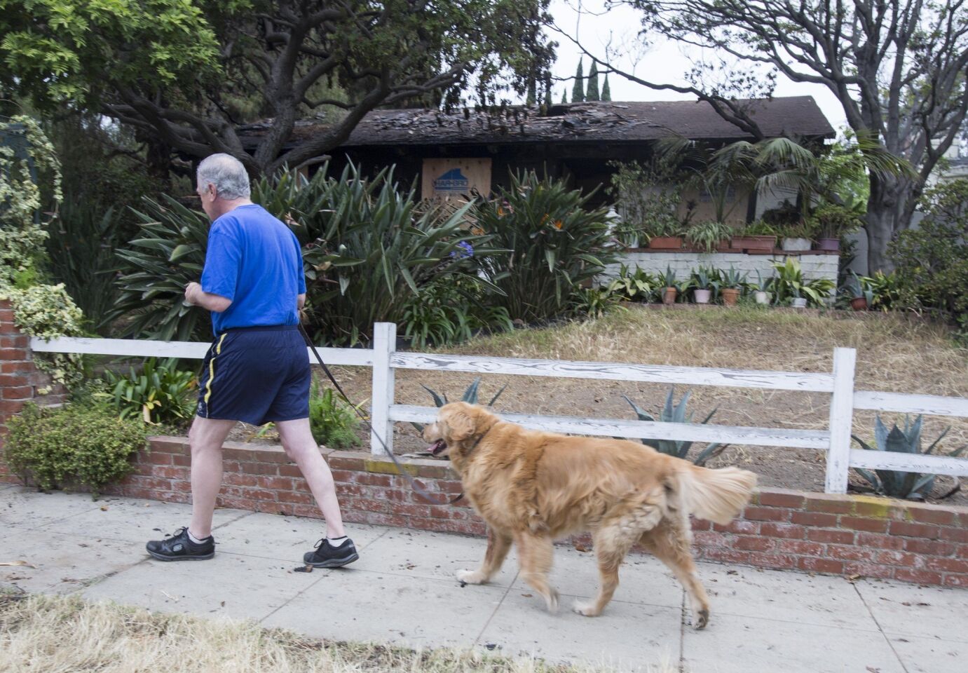 Mark Adams, 62, walks his dog, Gunnar, past the burned-out home in Santa Monica where two suspected victims of Friday's shooting rampage were found.