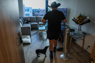 A man in dark clothes and hat, shown from behind, standing with a dog next to him in a room with a TV and couch