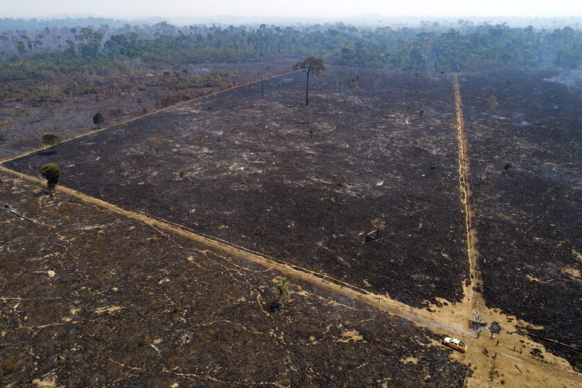 FILE - This Aug. 18, 2020 file photo shows an area consumed by fire and cleared near Novo Progresso in Para state, Brazil. A group of climate lawyers called Tuesday, Oct. 12, 2021 for the International Criminal Court to launch an investigation into Brazil's president for possible crimes against humanity for his administration's Amazon policies. (AP Photo/Andre Penner, file)