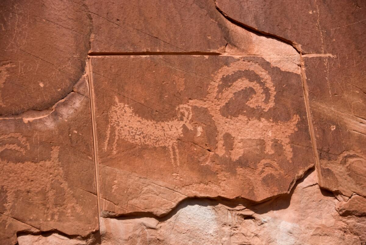 Vandalized petroglyphs 