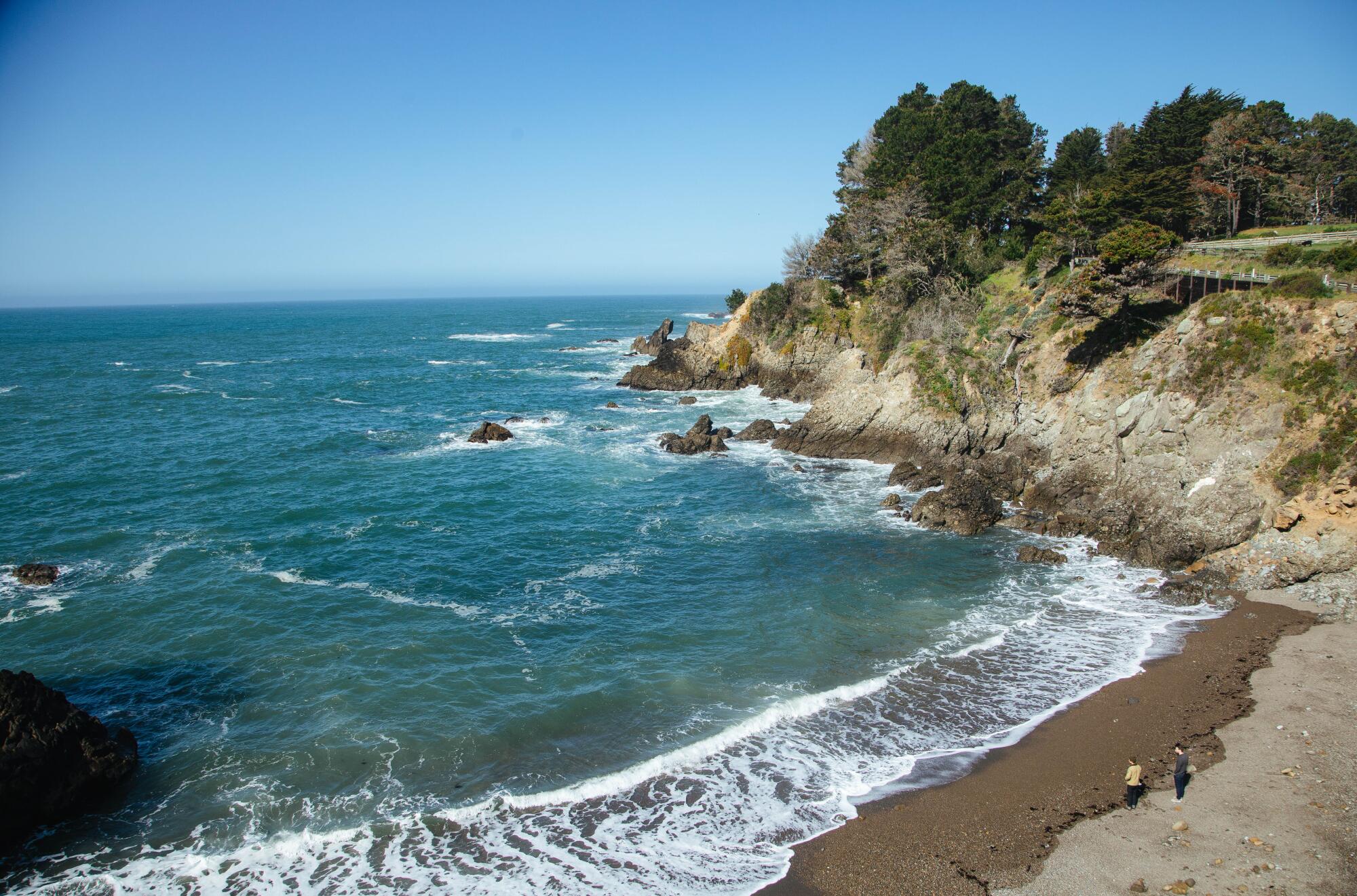 An ocean cove with a sandy beach and trees above.