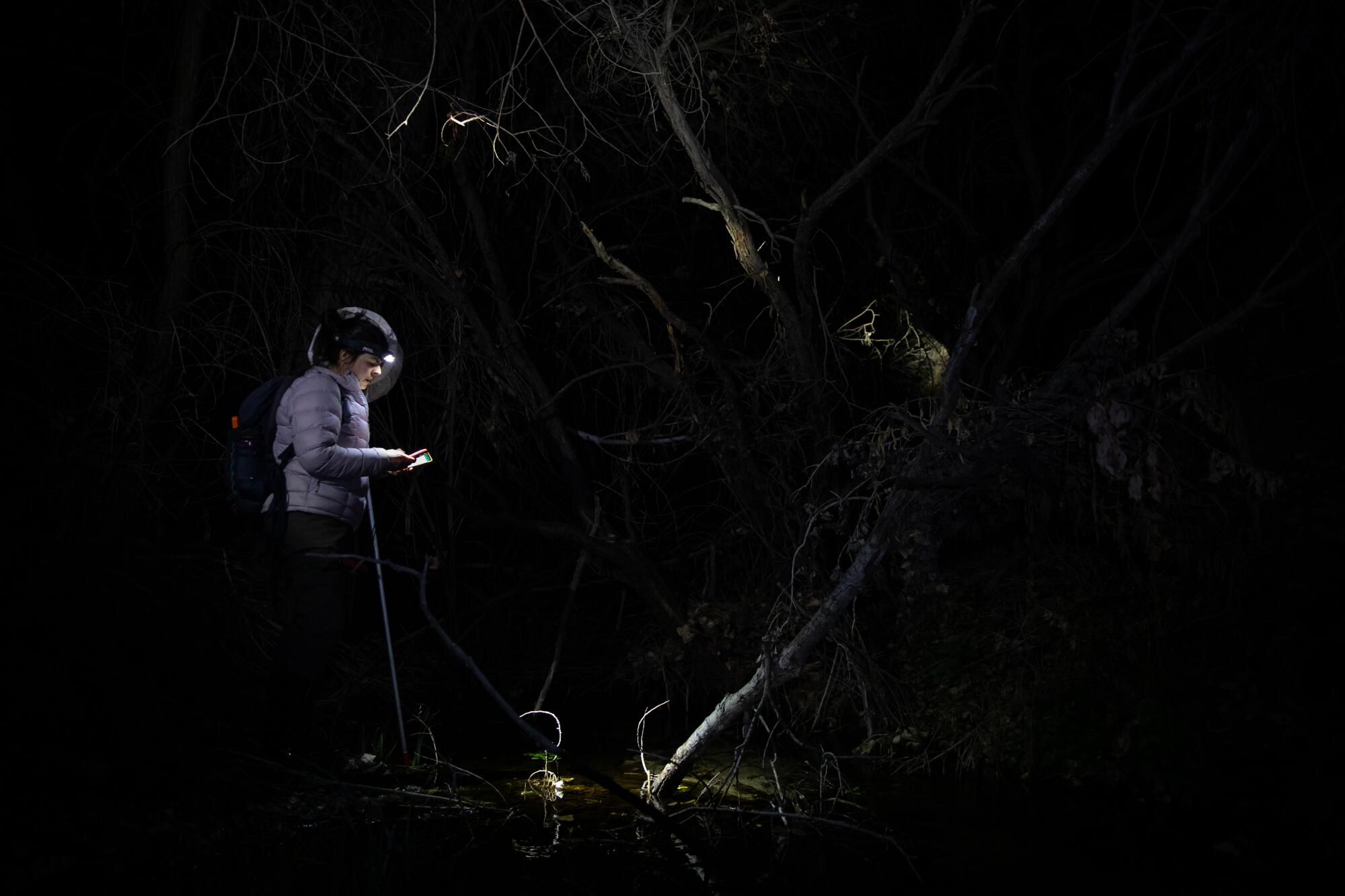 Samantha Birdsong works at night in the dark near a tree
