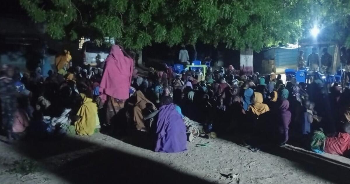 360 personnes ont été enlevées par l’armée nigériane dans le nord-est de l’État de Borno