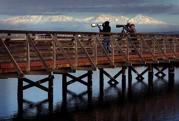 Wildlife photographers shoot pictures from the bridge leading ito the Bolsa Chica Ecological Reserve in Orange County against a backdrop of the snow-capped San Gabriel Mountains. Commuters' hopes rise with temperatures » Your Scene: SoCal Snow | Submit photos »