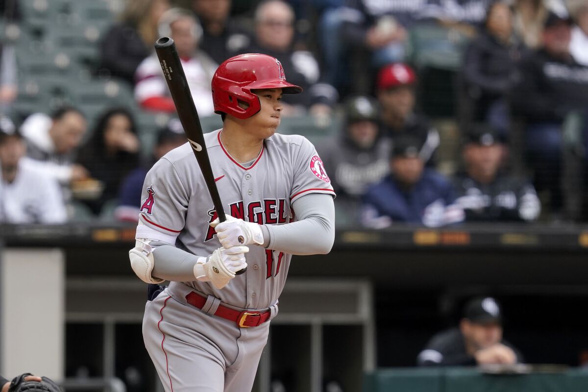 Los Angeles Angels' Shohei Ohtani watches his pinch-hit groundout during the eighth inning of a baseball game against the Chicago White Sox, Monday, May 2, 2022, in Chicago. (AP Photo/Charles Rex Arbogast)