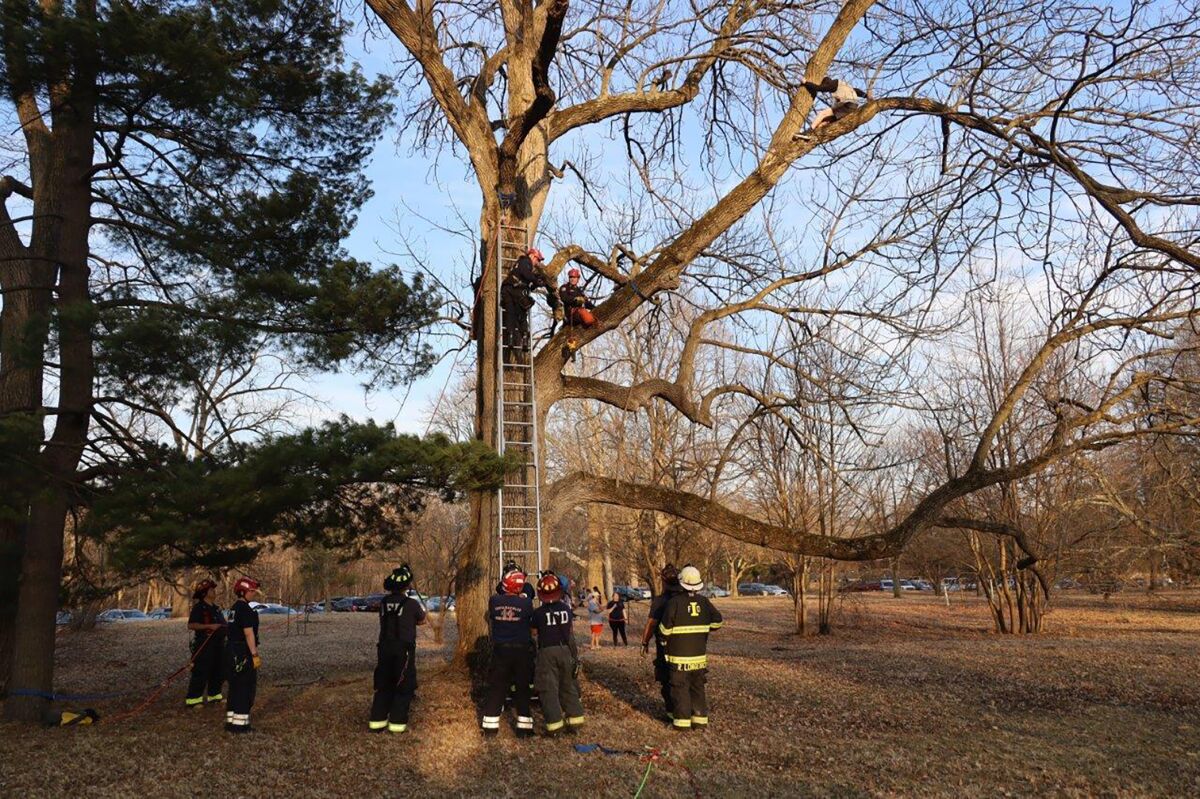 This photo provided by the Indianapolis Fire Department shows firefighters on Saturday, March 5, 2022 at Holliday Park in Indianapolis. A teenager who scaled a tree at an Indianapolis park to rescue a cat he spotted high up in the branches ended up stuck himself and in need of a rescue, officials said. (Indianapolis Fire Department via AP)