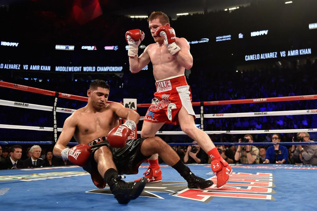 Amir Khan falls to the canvas after getting knocked out by Canelo Alvarez in the sixth round of their WBC middleweight title fight Saturday night in Las Vegas.