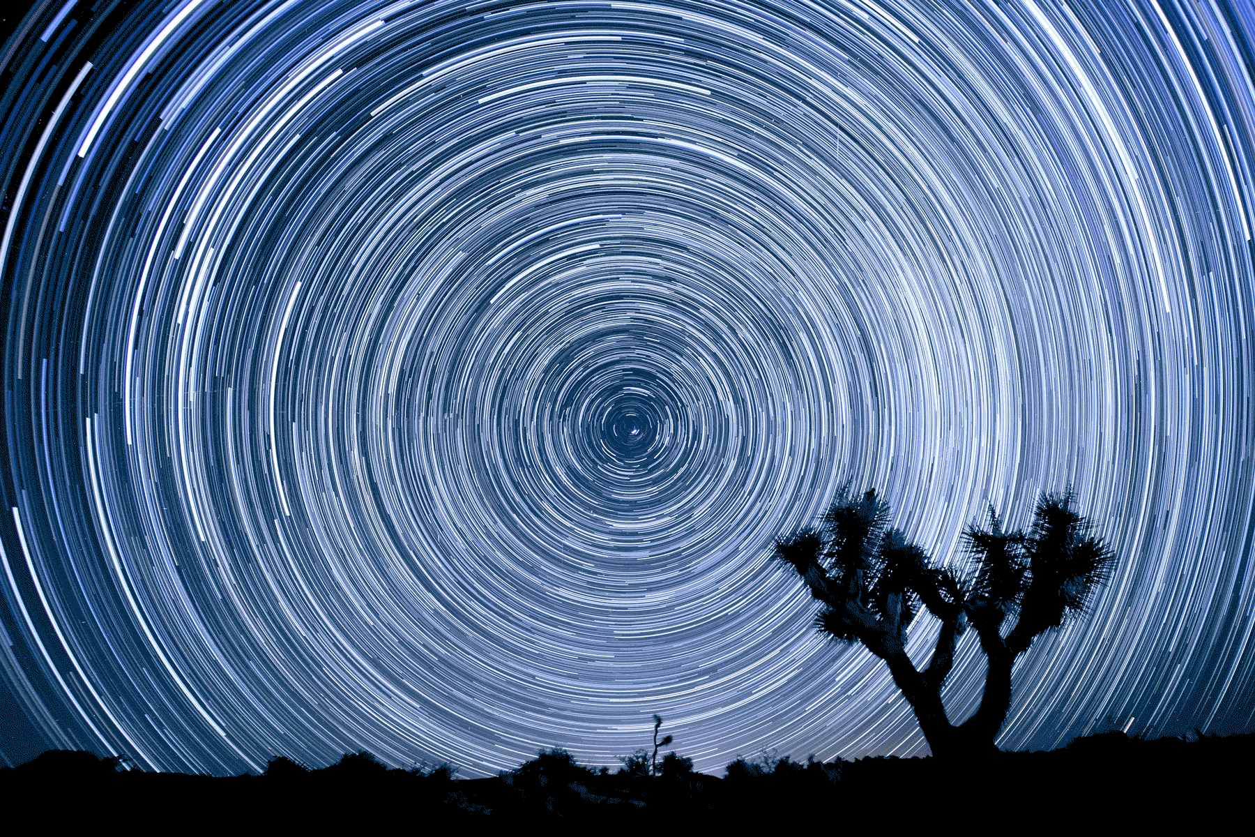 The image of star trails of Polaris and the northern sky was created using more than 100 individual 25-second exposures