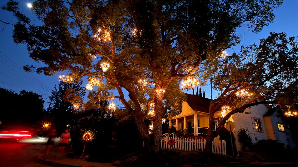 The Chandelier Tree in Silver Lake is an old sycamore adorned with 30 vintage lighting fixtures.