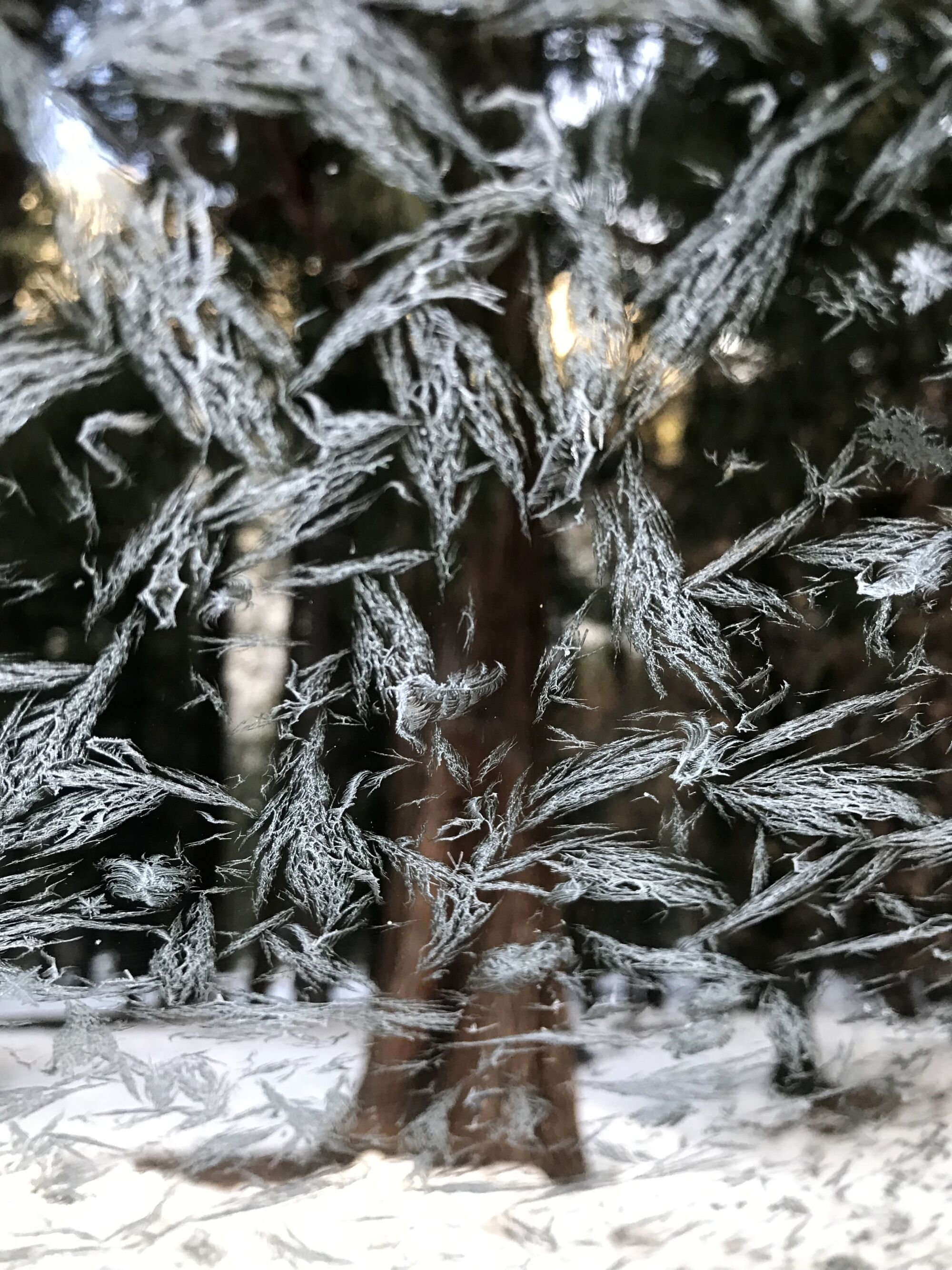 Ice crystals on glass