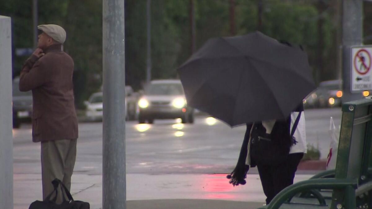 A woman walks with an umbrella while a man turns his collar up to the rain.