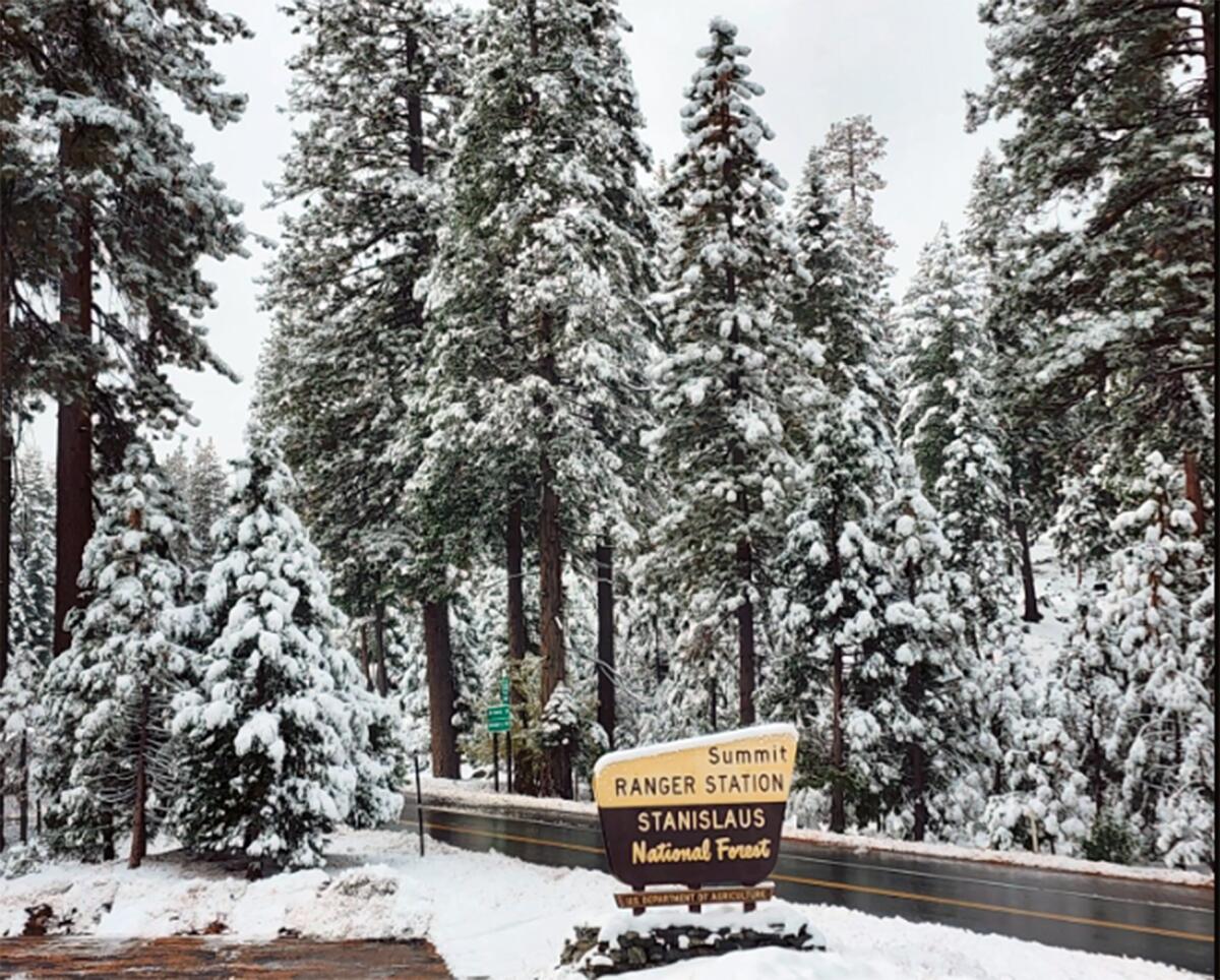 A snowy, tree-lined road leads past a sign for Stanislaus National Forest