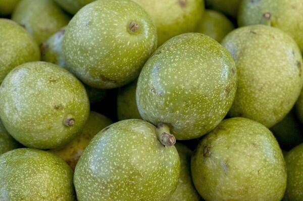 Green walnuts