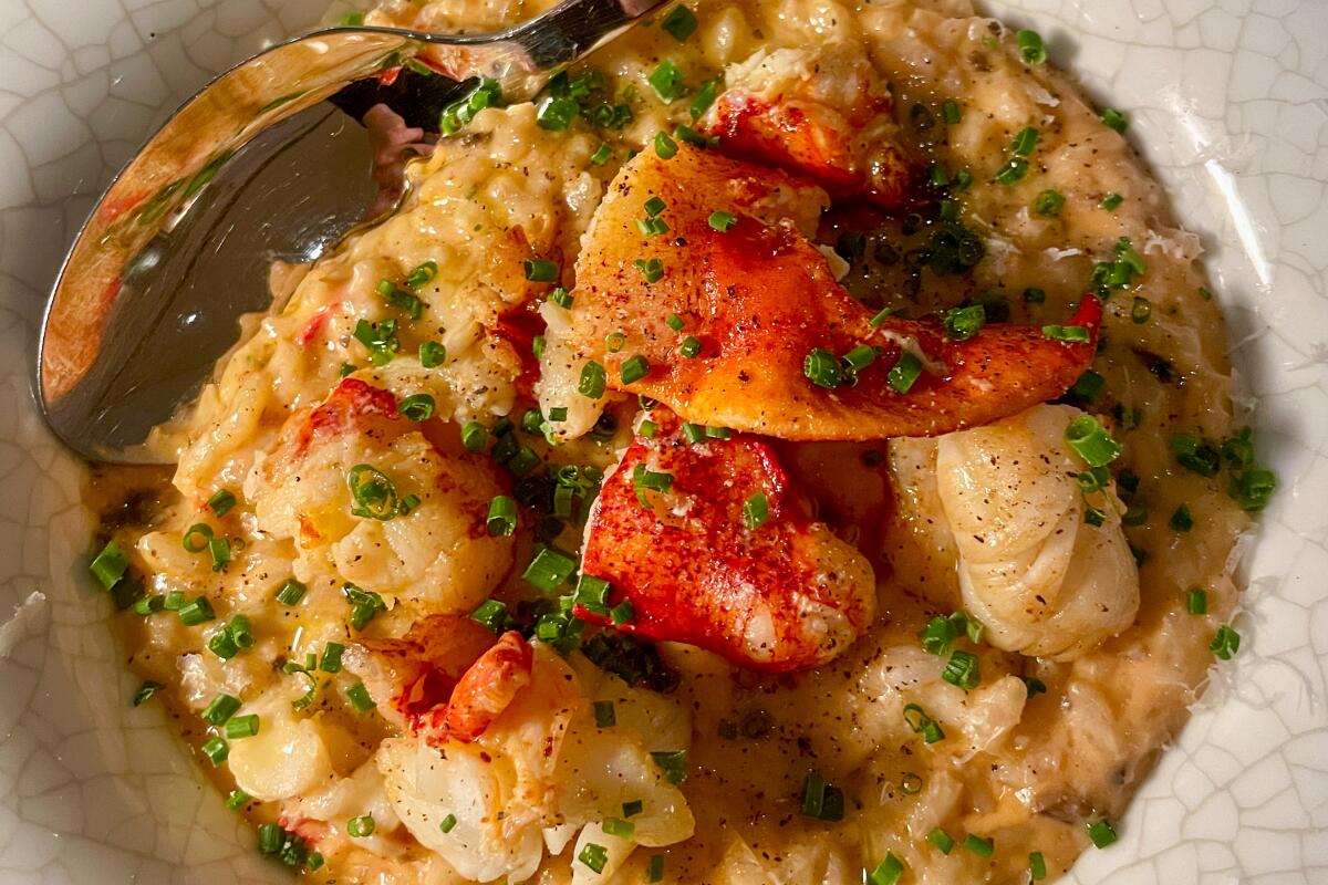 Lobster risotto with large chunks of lobster