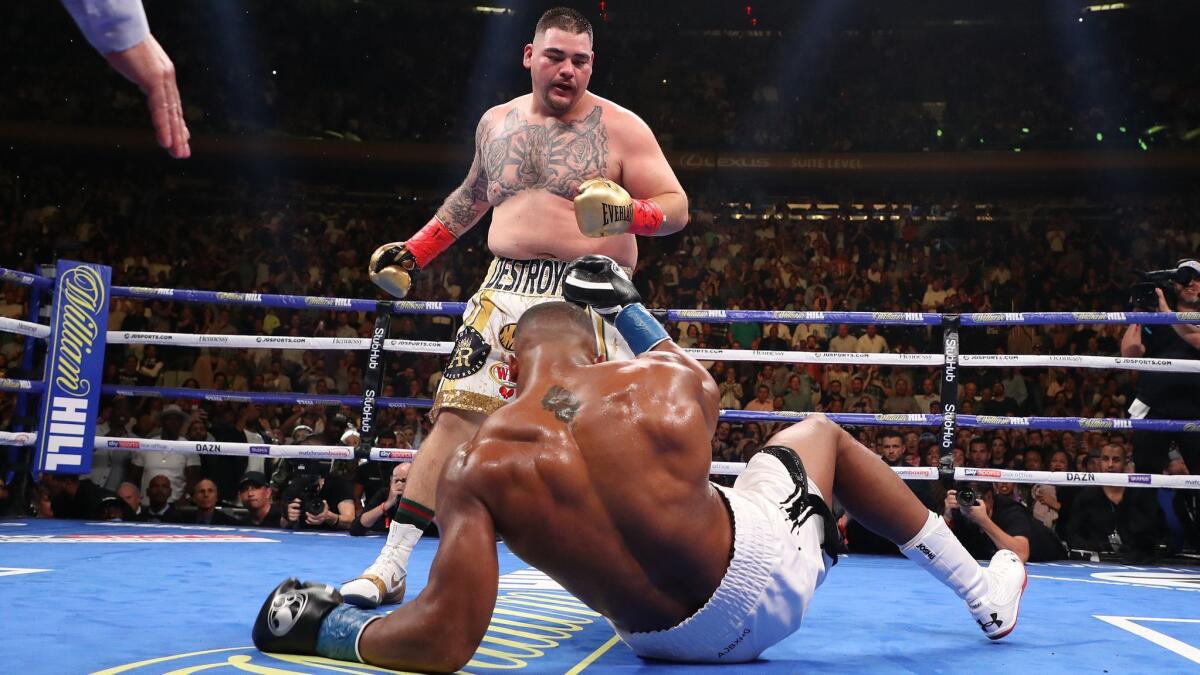 Andy Ruiz Jr. knocks down Anthony Joshua.