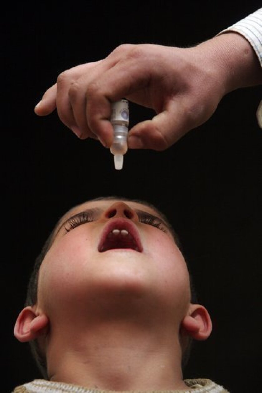 Polio cases are way down this year, though the disease remains endemic in Pakistan, Afghanistan and Nigeria. Above, an Afghan boy receives the polio vaccine.
