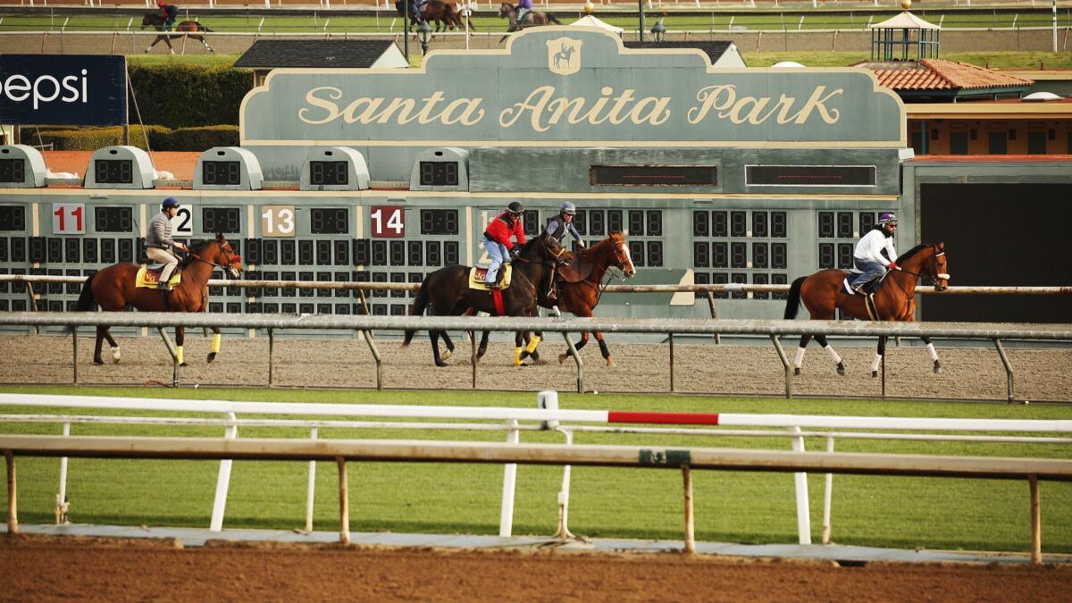 Exercise riders and horses walk along the track during morning workouts at Santa Anita Park in Arcadia.