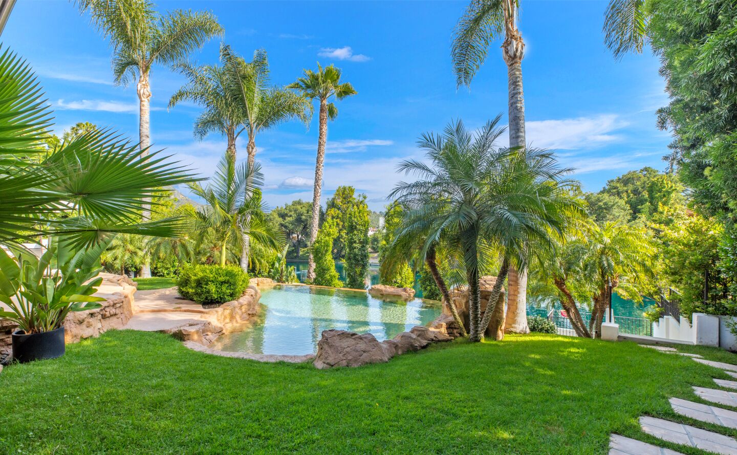 The pool surrounded by palm trees and grass