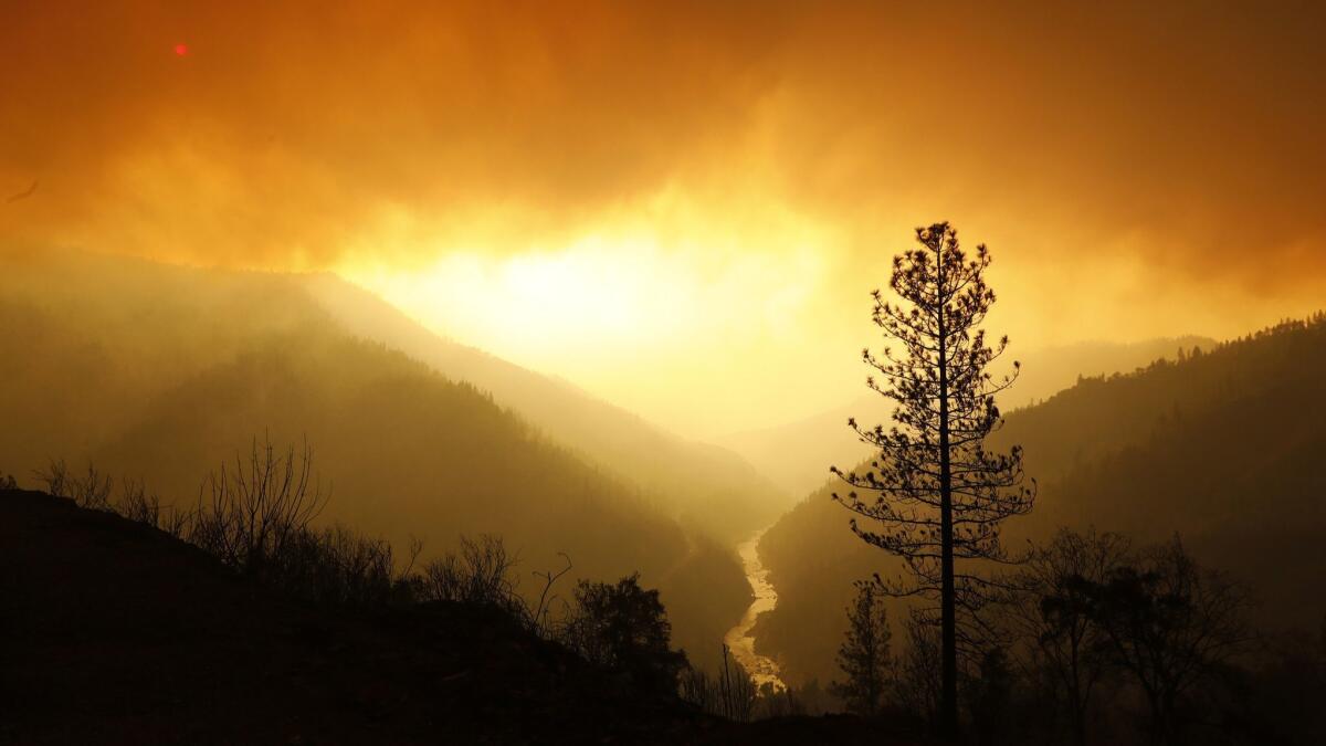 Smoke fills the sky as the Camp fire burns along the north fork of the Feather River on Nov. 11.