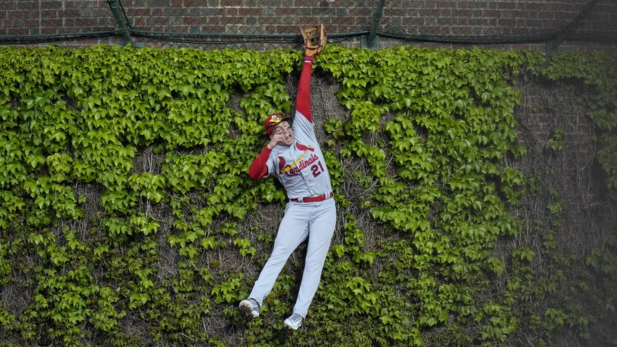 Last-place St. Louis Cardinals trying to find their way - The San Diego  Union-Tribune