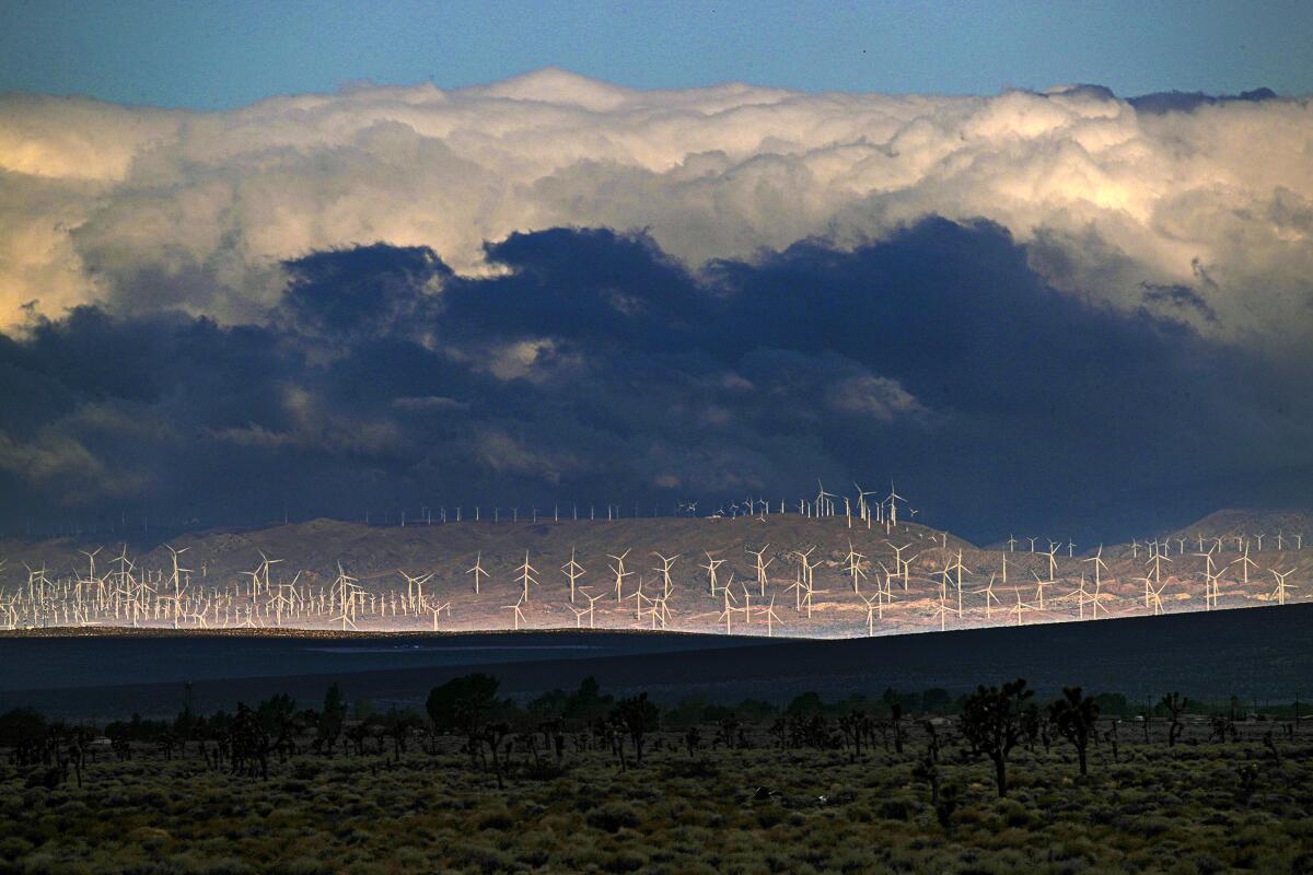 Wind turbines in Southern California's Tehachapi Pass. Renewable energy developer Avantus plans to build solar farms nearby.
