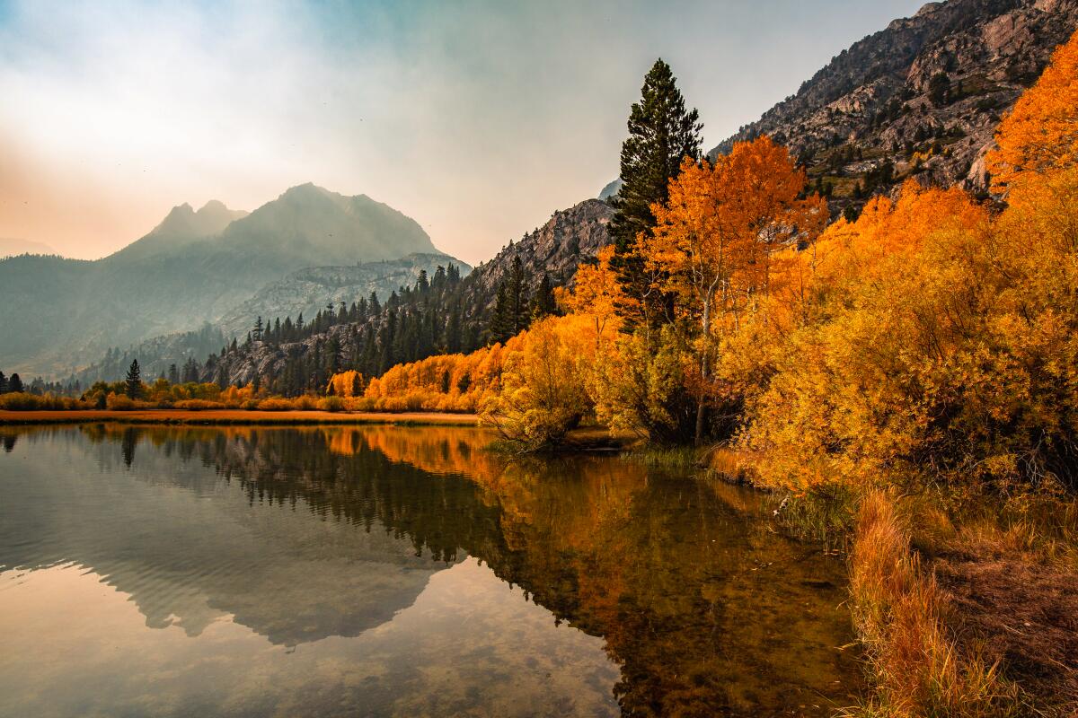 Water, lakeside fall foliage and a mountain in Mammoth
