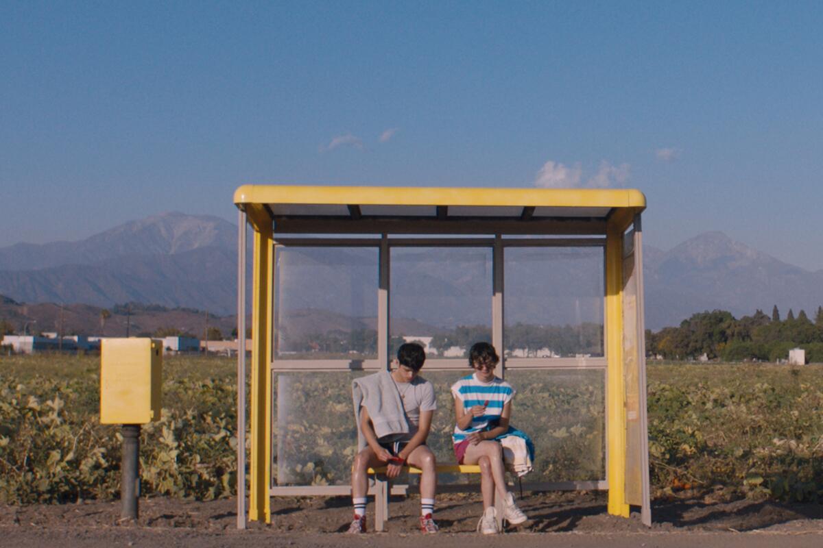 Two young men sit in a bus shelter