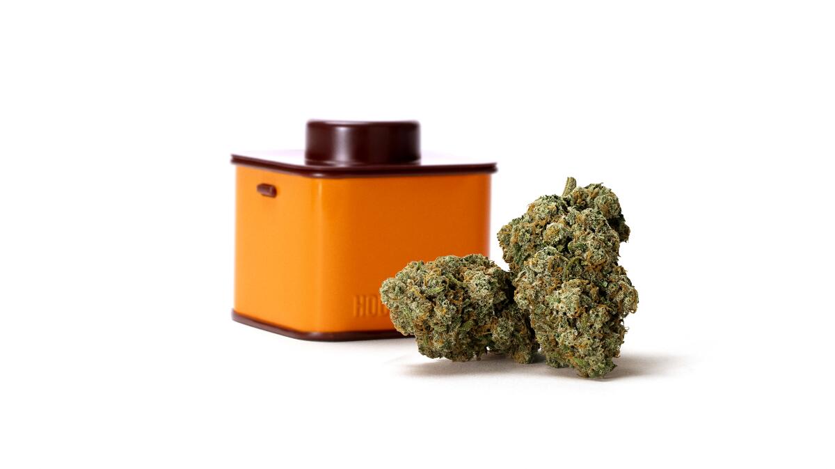 A bud of cannabis flower next to an orange tin.