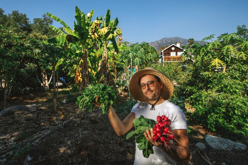 Mike Wood, co-owner of Huarache Farms, is photographed at their Sierra Madre location.