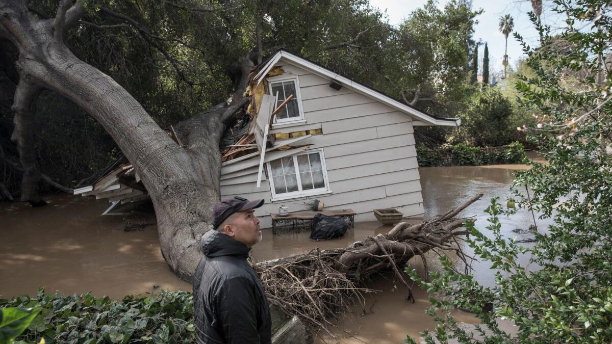 Rob Souza surveys damage to a cottage on his property just west of Coyote Creek, where floodwaters breached his sandbag wall and an oak tree collapsed.