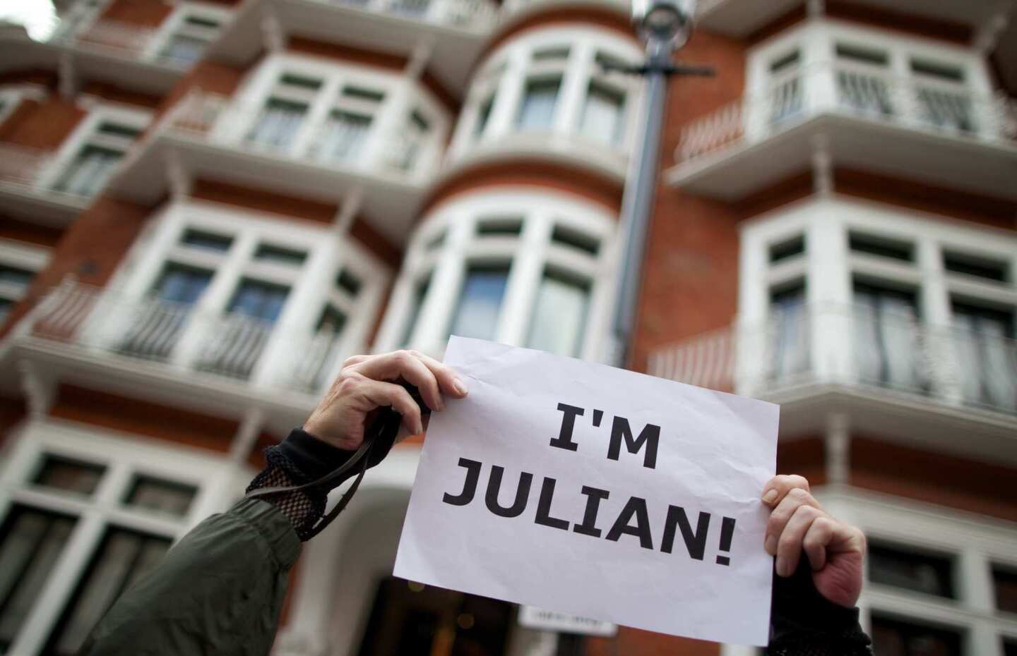 A supporter of Julian Assange stands out