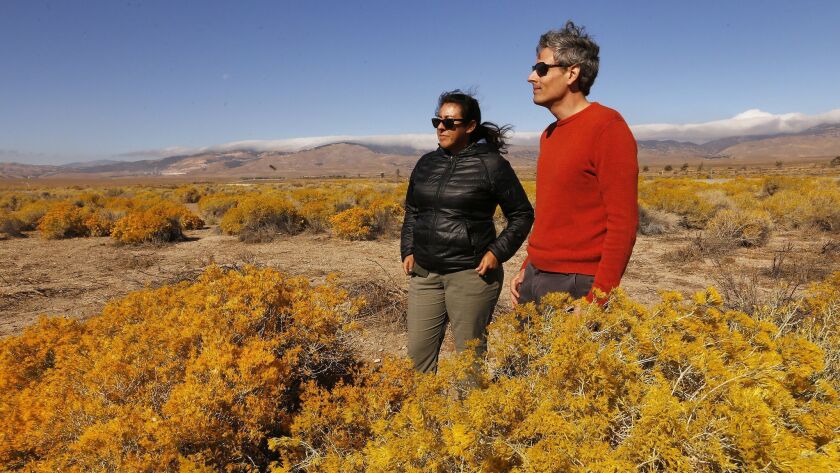 Nick Jensen, right, Southern California conservation analyst with the California Native Plant Society, and Naomi Fraga, director of conservation programs at the Rancho Santa Ana Botanic Garden, overlooking the proposed Centennial project of Tejon Ranch.