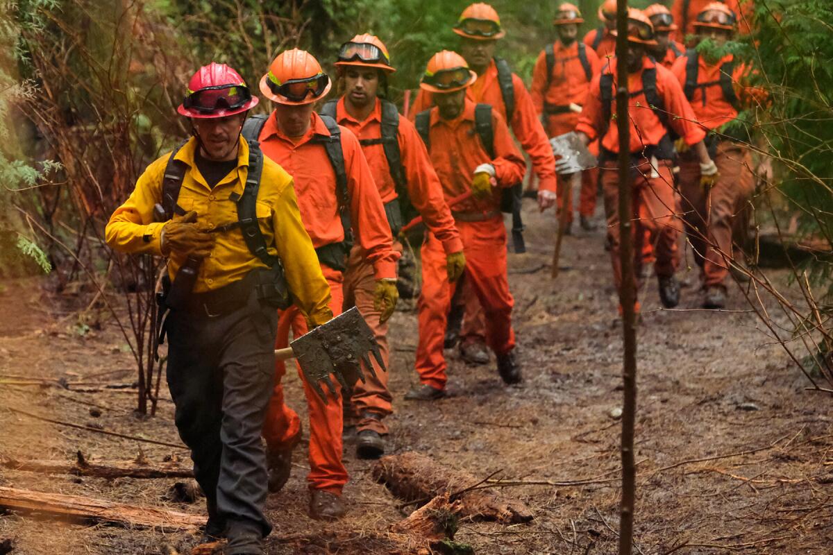A line of firefighters walk through a brushy area in ”Fire Country" TV series.