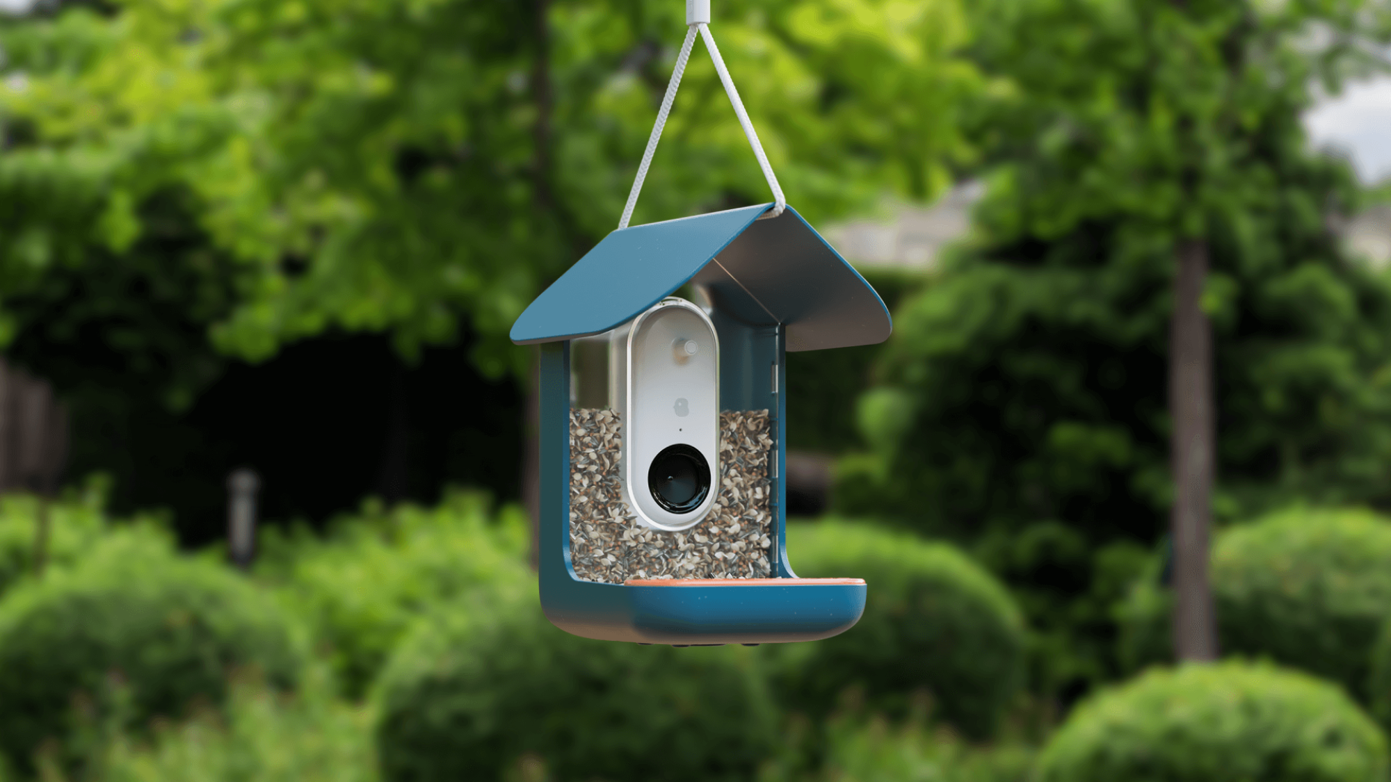 A seed-filled bird feeder with a blue roof and a camera module in the middle