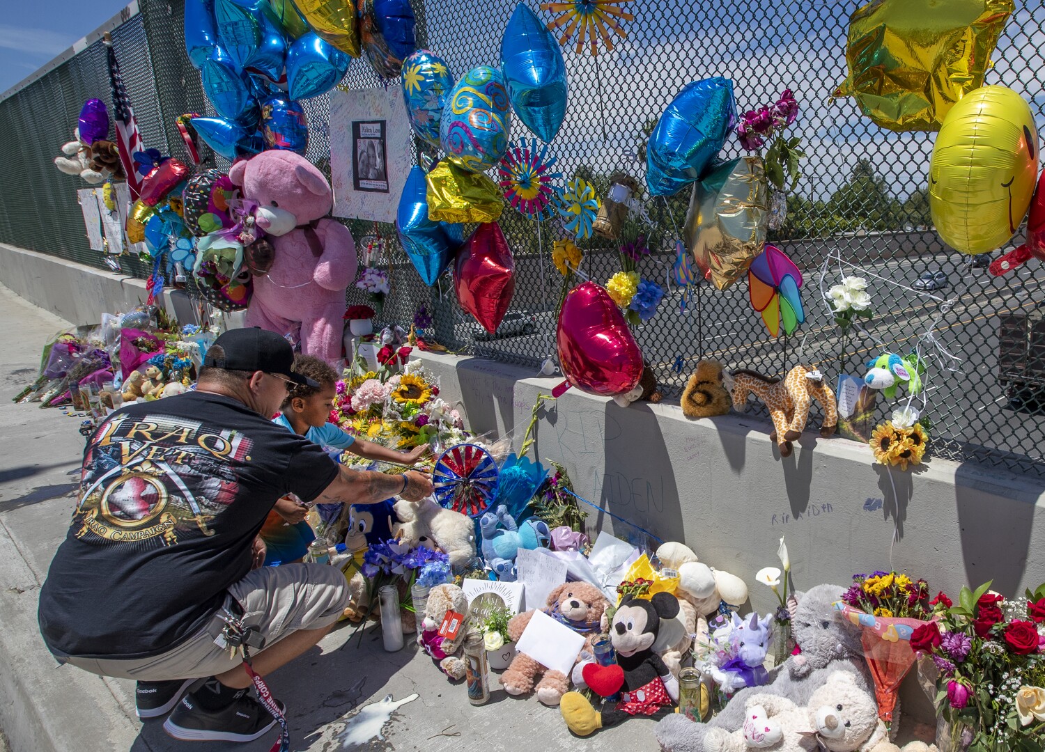 Family and O.C. officials offer $150,000 reward in shooting death of 6-year-old on 55 Freeway