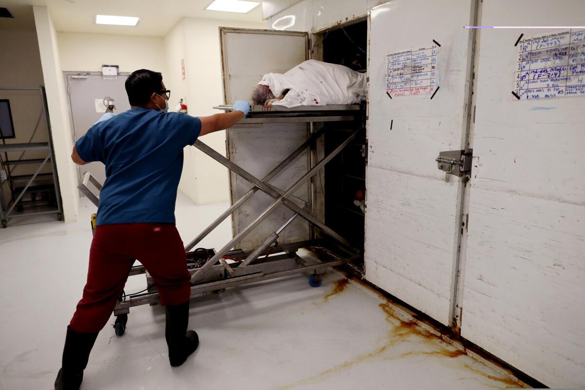 Technician Abraham Fierro puts the body of a man of about 60 into a refrigeration unit to await an autopsy in the morgue in Tijuana.
